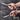 Nuovva paring knife with high carbon stainless steel blade