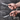 Nuovva paring knife with high carbon stainless steel blade