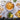 Healthier cooking with naturally non-stik satin polished stainless steel frying pans