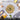 Healthier cooking with nuovva stainless steel non-stick non coated cookware with glass lid