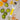 Microplane Ultimate Citrus Tool 2.0 - Zester
