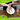 Easy to clean, stain free interior, scratch free cookware. 