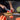 Japanese slicing knife has a razor sharp blade with protective sheath by Nuovva