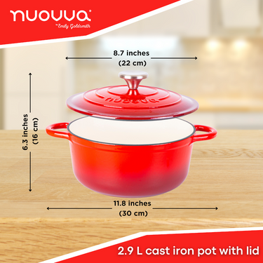 2.9L cast iron pot with lid. Casserole pot for induction and oven cooking. 