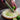 Microplane Citrus Zester/Grater (Black Handle)