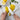 Nuovva chefs knife. Kitchen knife for cooks